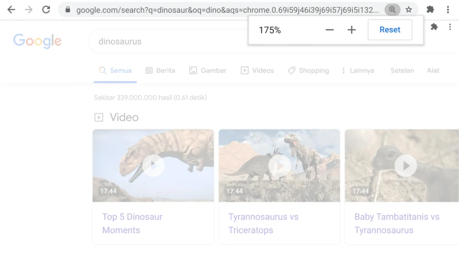 Jendela browser Chrome membuka halaman dengan fungsi Zoom aktif.