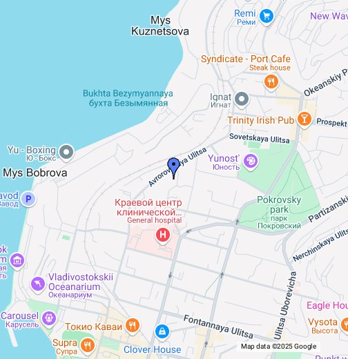 Алеутская 45 карта владивосток
